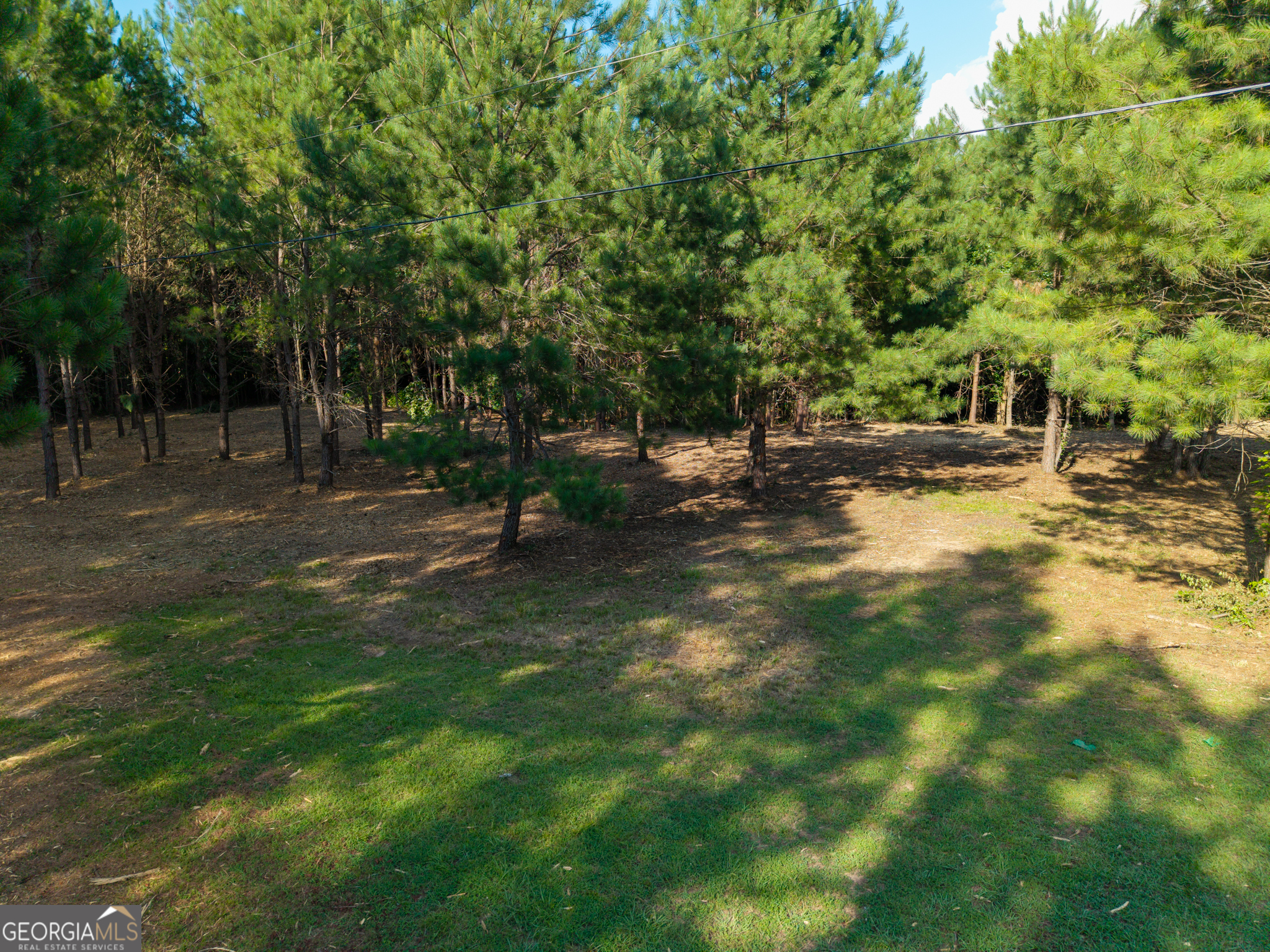 0 Hair Lake Road Summerville, GA 30747 - Photo 25 of 28