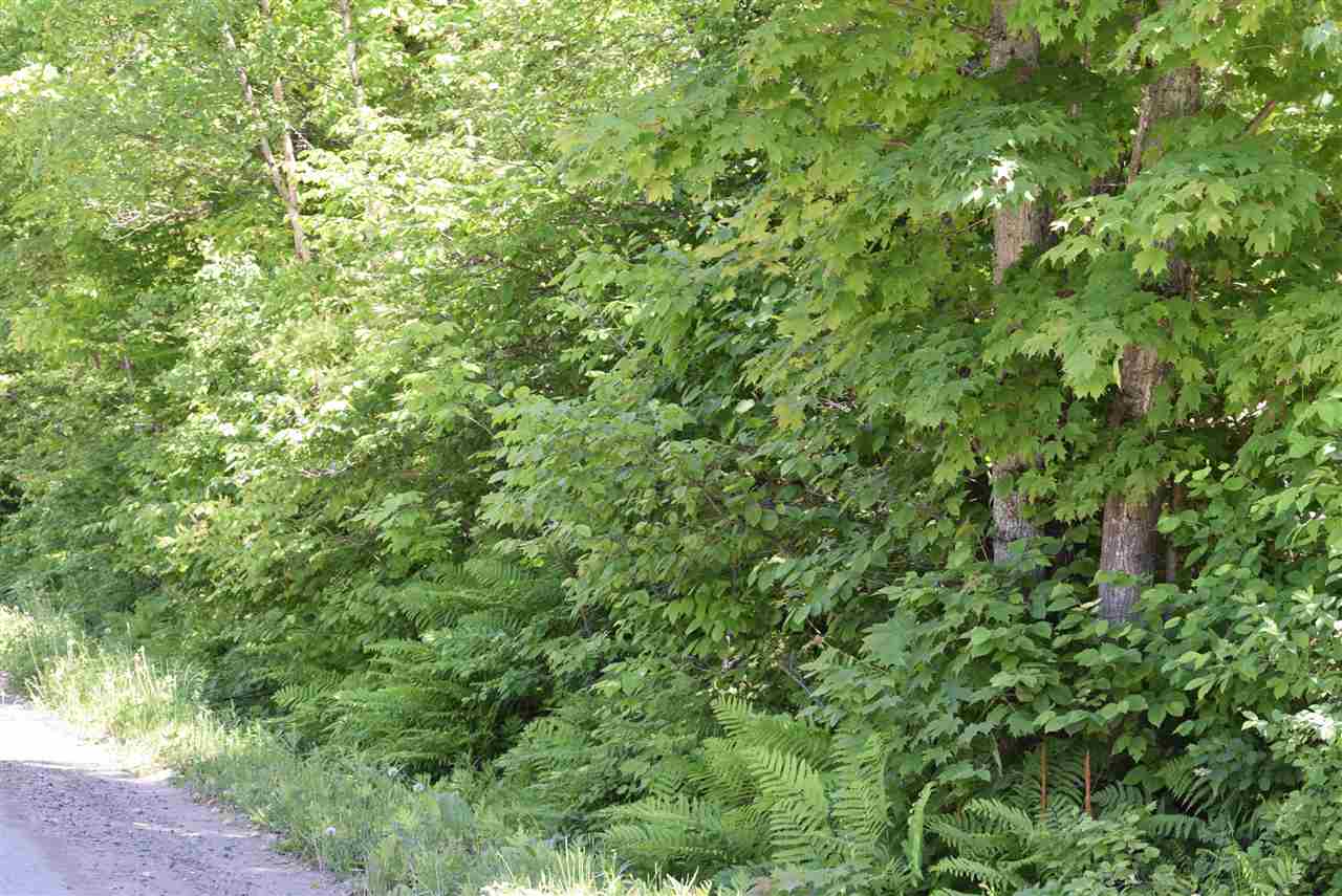 0 Symonds Mill Road Wolcott, VT 05680 - Photo 3 of 12
