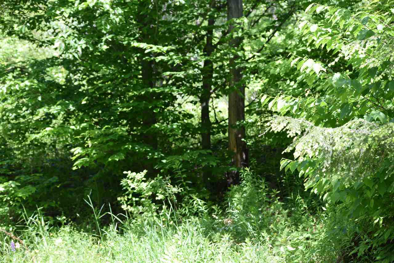0 Symonds Mill Road Wolcott, VT 05680 - Photo 8 of 12
