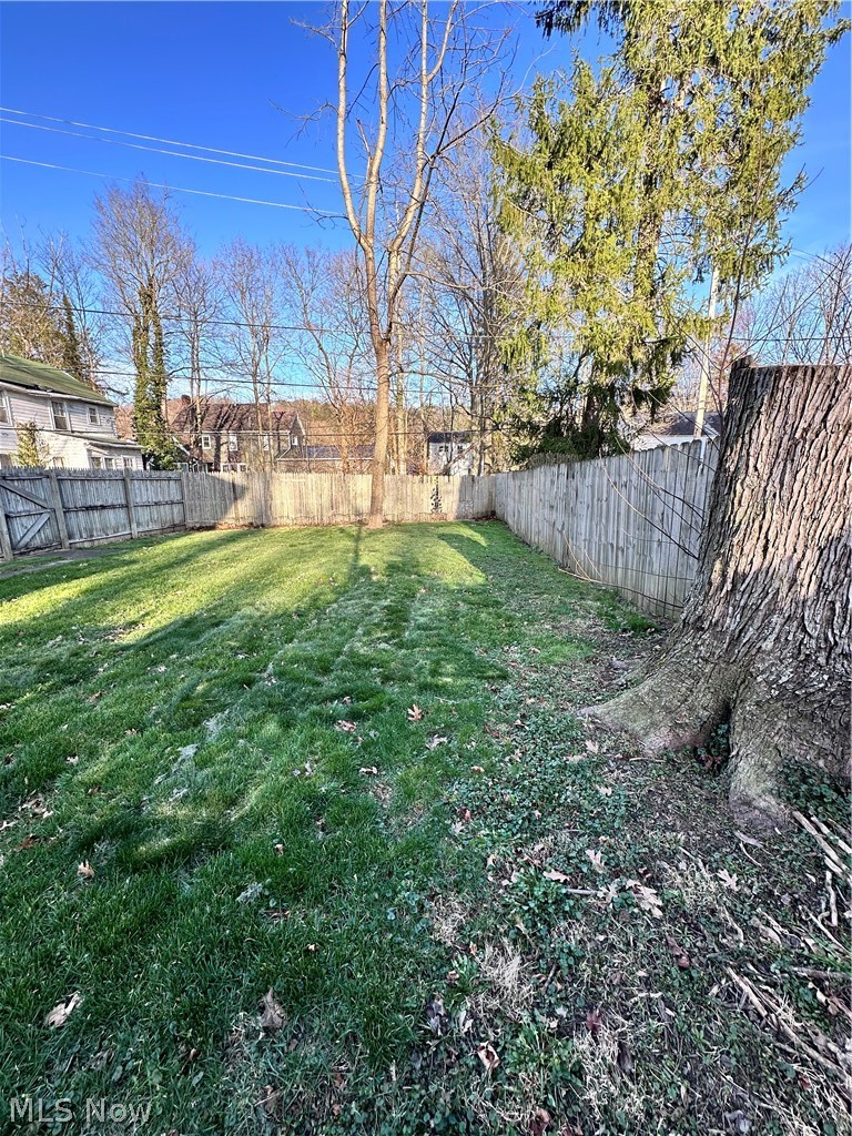 902 Cambridge Road Coshocton, OH 43812 - Photo 8 of 8 View of yard