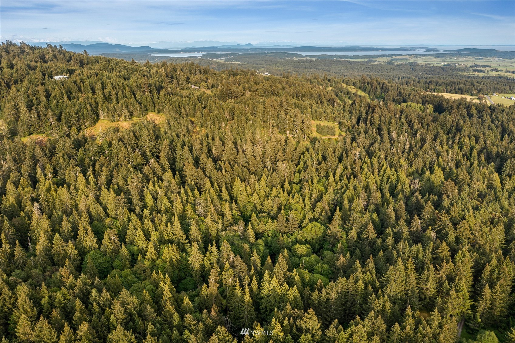 699 Capron Road Friday Harbor, WA 98250 - Photo 11 of 31 Gallery Image 11