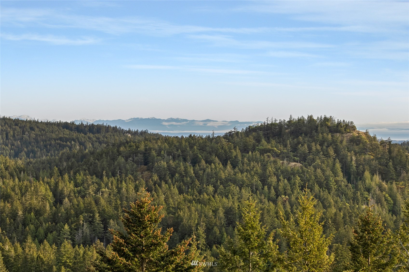699 Capron Road Friday Harbor, WA 98250 - Photo 17 of 31 Gallery Image 17