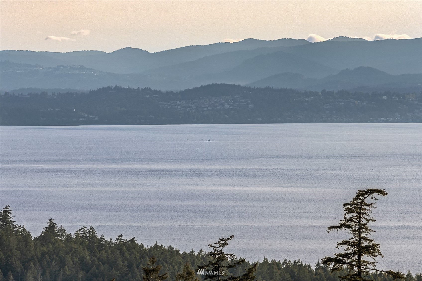 699 Capron Road Friday Harbor, WA 98250 - Photo 19 of 31 Gallery Image 19