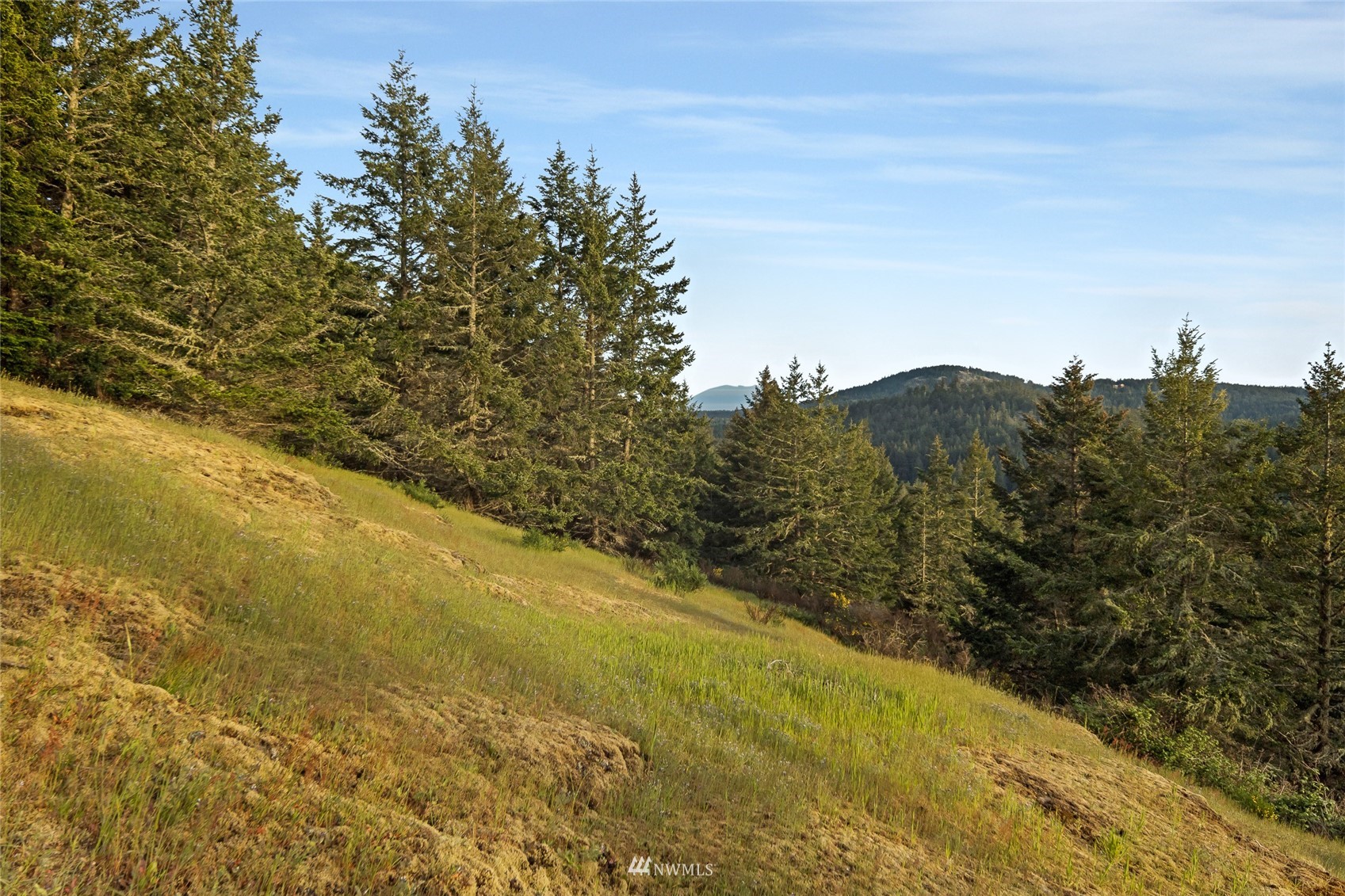 699 Capron Road Friday Harbor, WA 98250 - Photo 21 of 31 Gallery Image 21