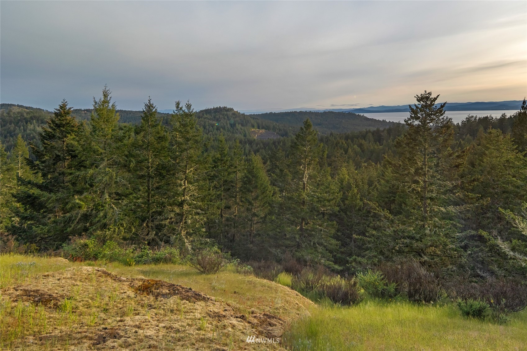 699 Capron Road Friday Harbor, WA 98250 - Photo 22 of 31 Gallery Image 22