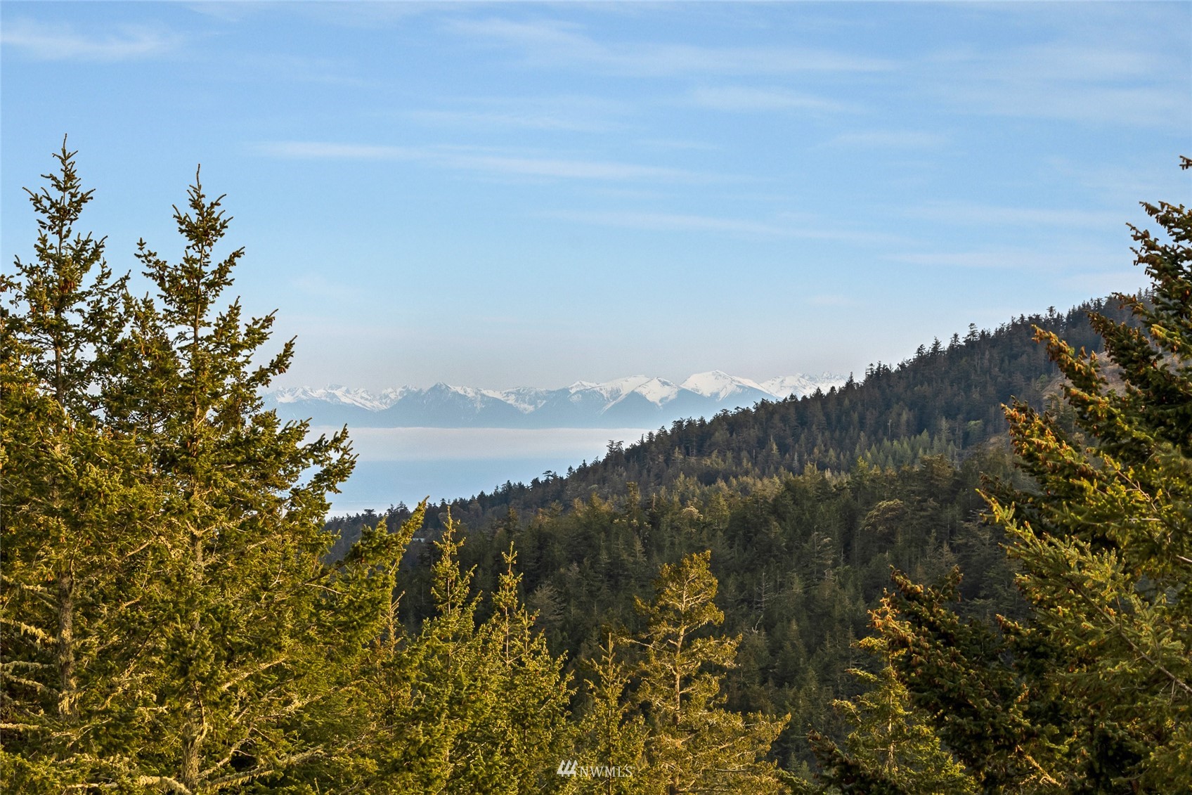 699 Capron Road Friday Harbor, WA 98250 - Photo 24 of 31 Gallery Image 24