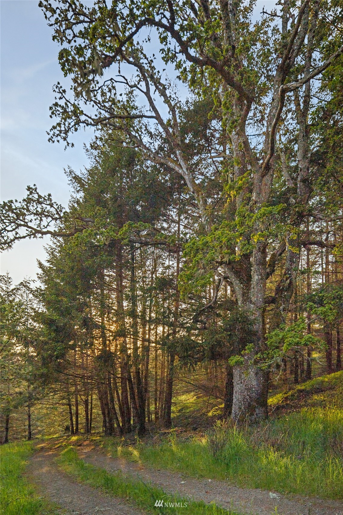 699 Capron Road Friday Harbor, WA 98250 - Photo 31 of 31 Gallery Image 31