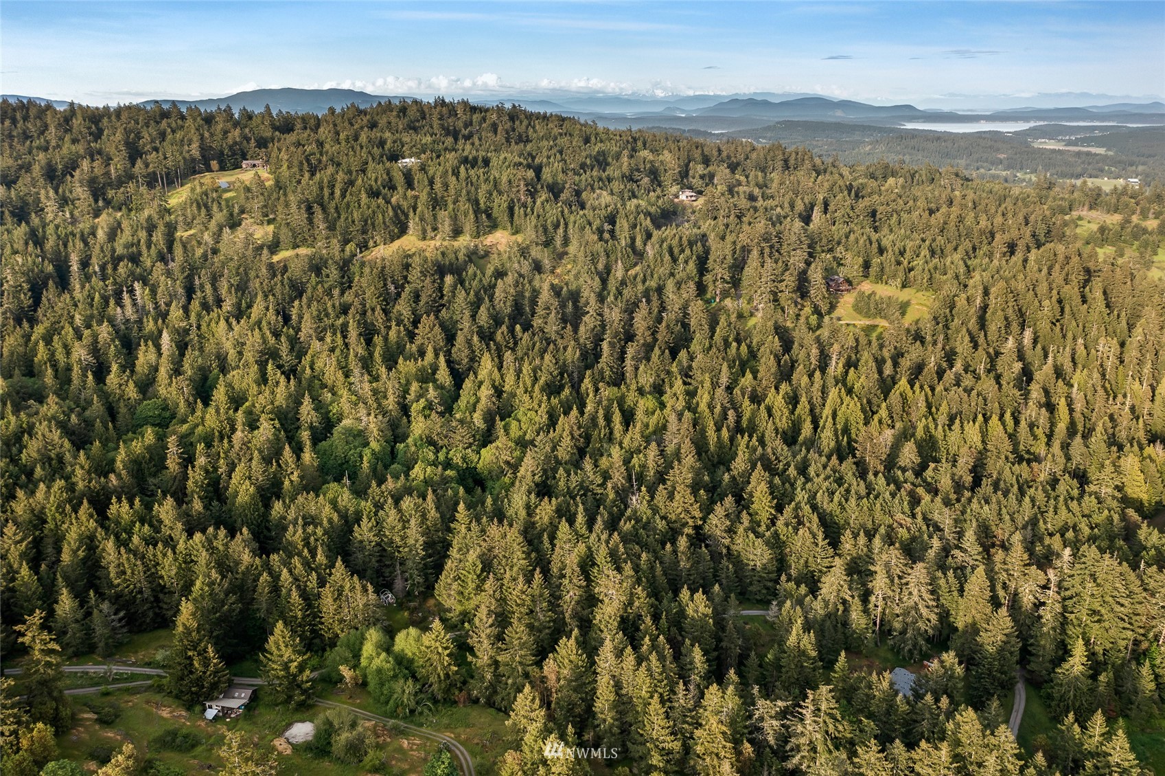 699 Capron Road Friday Harbor, WA 98250 - Photo 6 of 31 Gallery Image 6