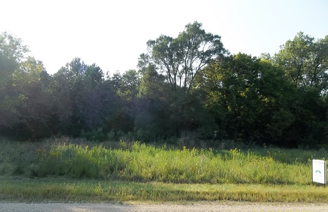 23839 Waller Road Fulton, IL 61252 - Photo 1 of 4