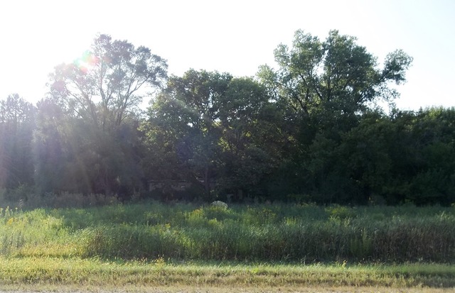 23839 Waller Road Fulton, IL 61252 - Photo 2 of 4