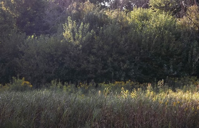 23839 Waller Road Fulton, IL 61252 - Photo 3 of 4