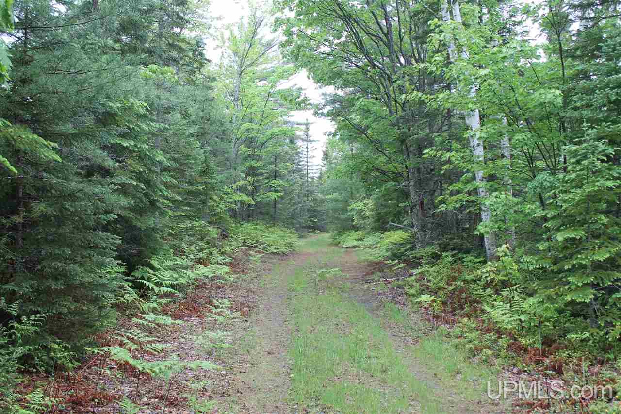 2476 Carlson Road Manistique, MI 49854 - Photo 34 of 46 Gallery Image 34