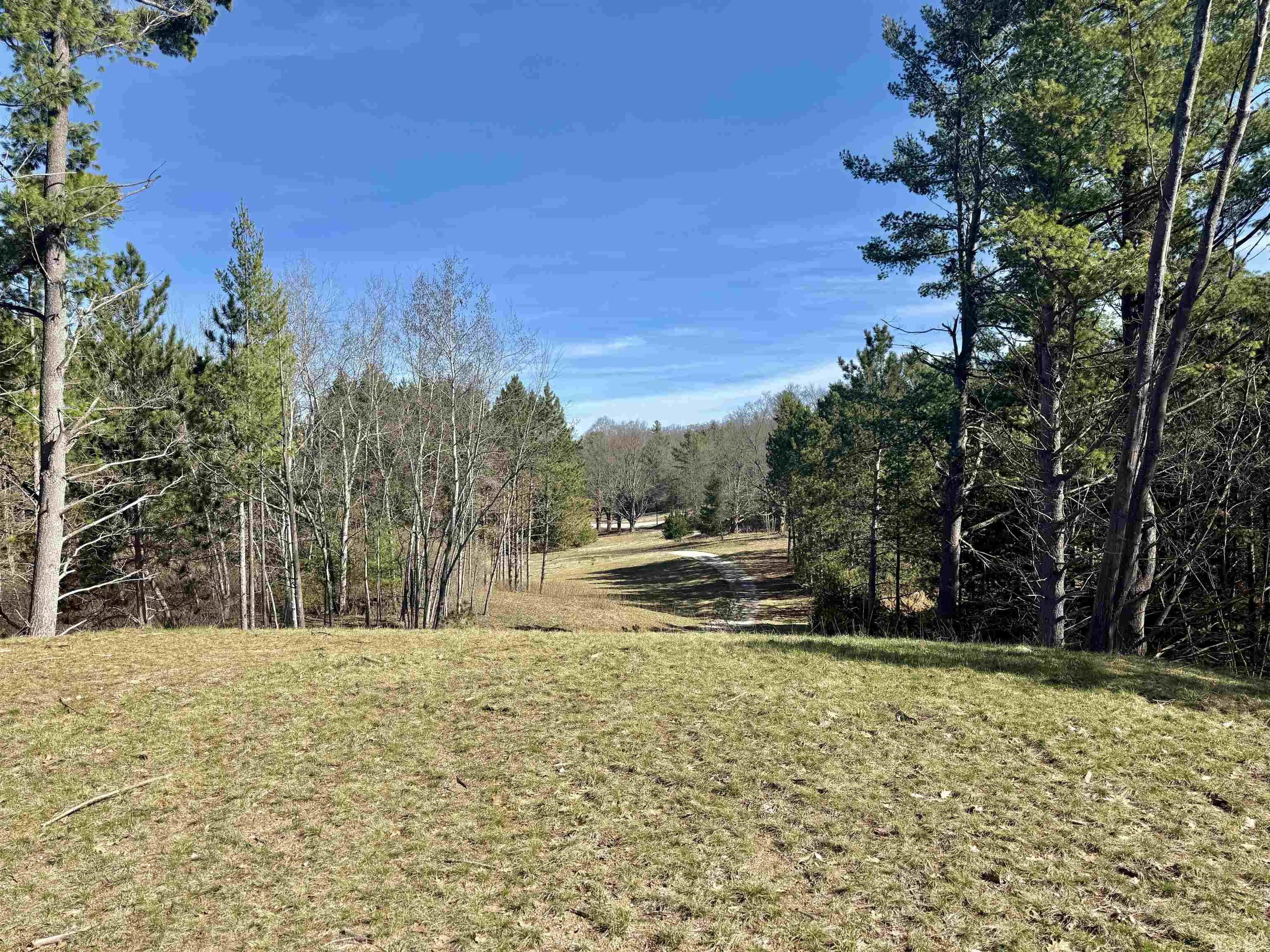 3041 Dockery Road East, Unit LOT: 2 Williamsburg, MI 49690 - Photo 1 of 18