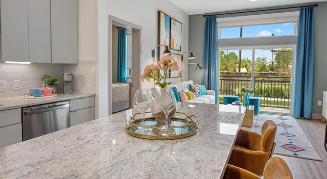 $1,300 | 9330 South Main Street, Unit 234, Houston, TX 77025