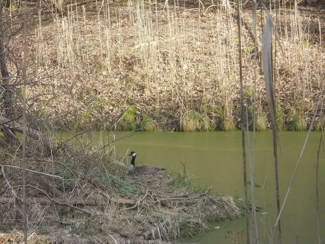 $199,900 | Pinegrove Avenue, Irondequoit, NY 14617