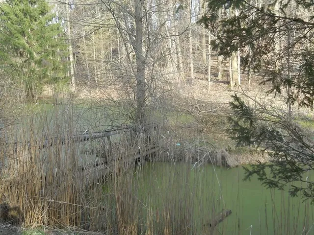 $199,900 | Pinegrove Avenue, Irondequoit, NY 14617