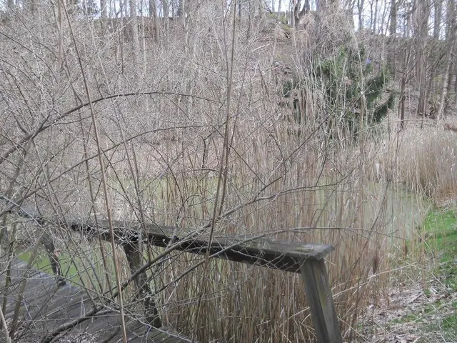 $199,900 | Pinegrove Avenue, Irondequoit, NY 14617