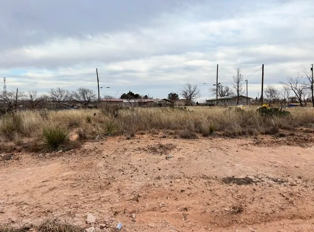 a view of a dry yard with wooden fence