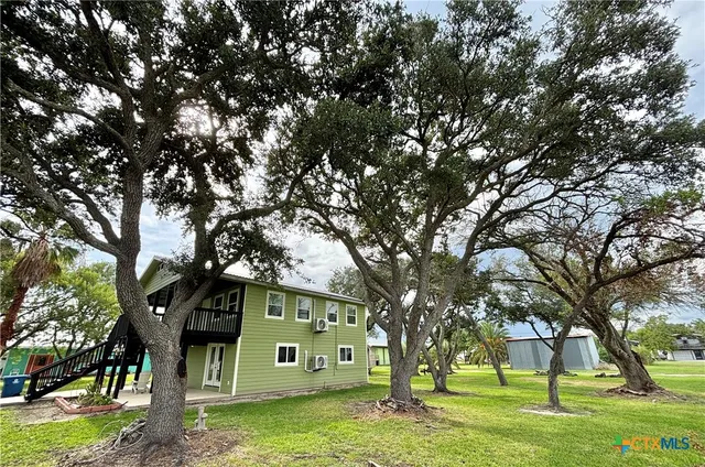 a view of a trees in a yard