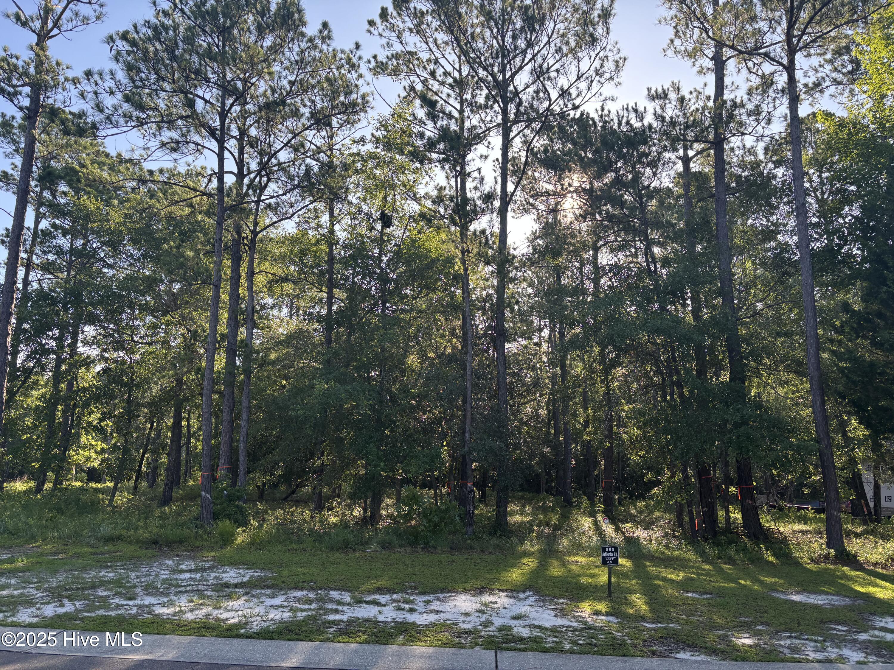 990 Ashburton Road Southeast Bolivia, NC 28422 - Photo 1 of 23 9901