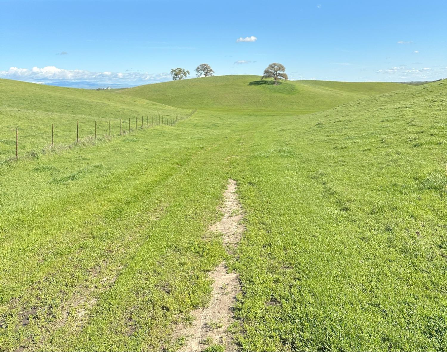 1100 Crabtree Road Waterford, CA 95386 - Photo 13 of 73 a view of an ocean