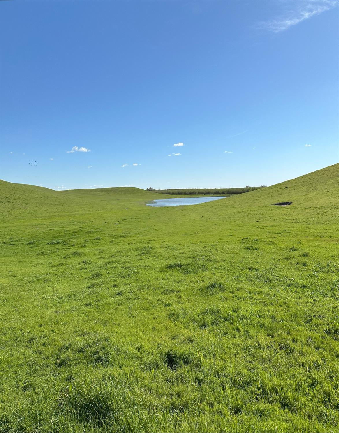 1100 Crabtree Road Waterford, CA 95386 - Photo 15 of 73 a view of an ocean and beach