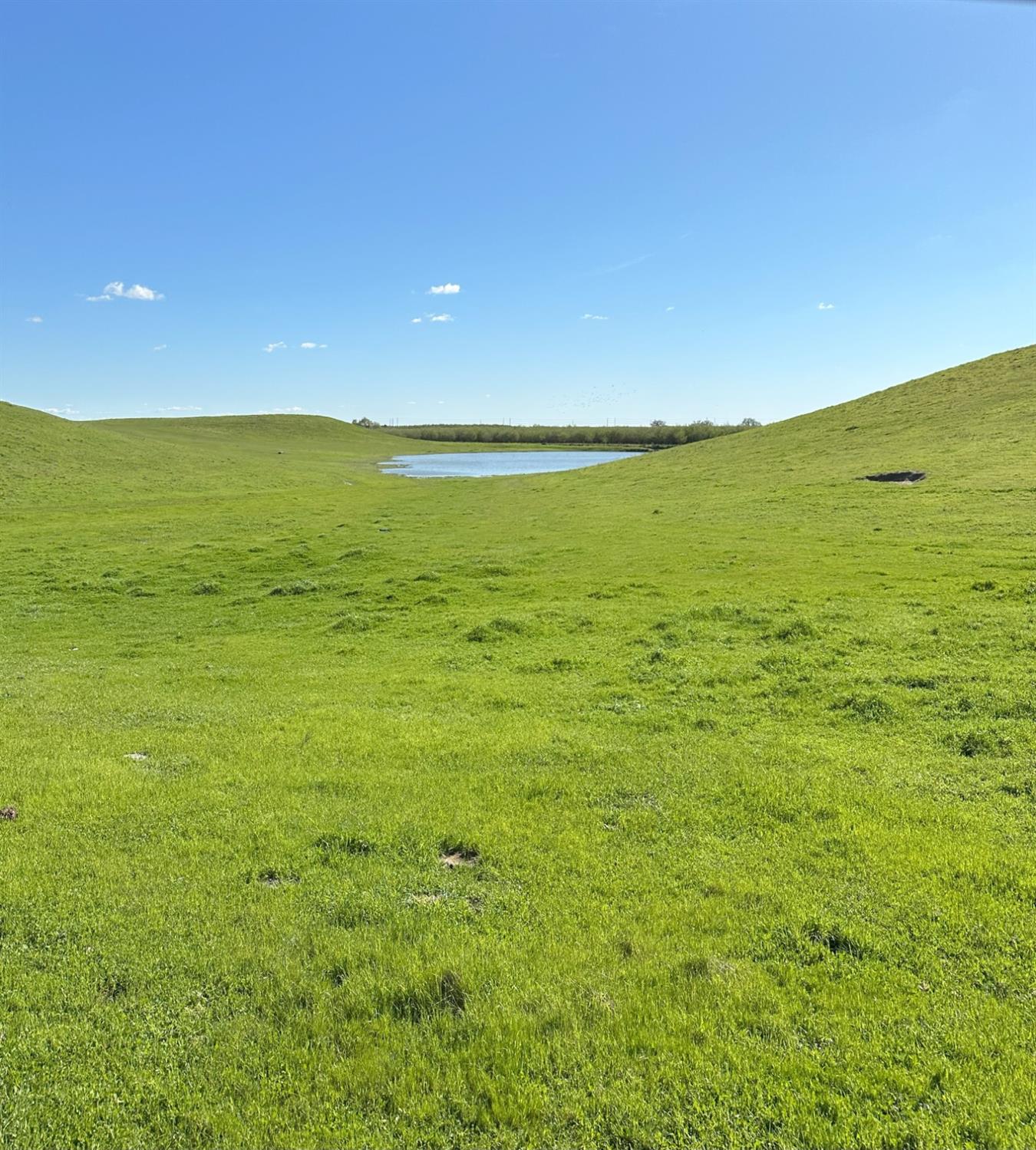 1100 Crabtree Road Waterford, CA 95386 - Photo 16 of 73 a view of an ocean