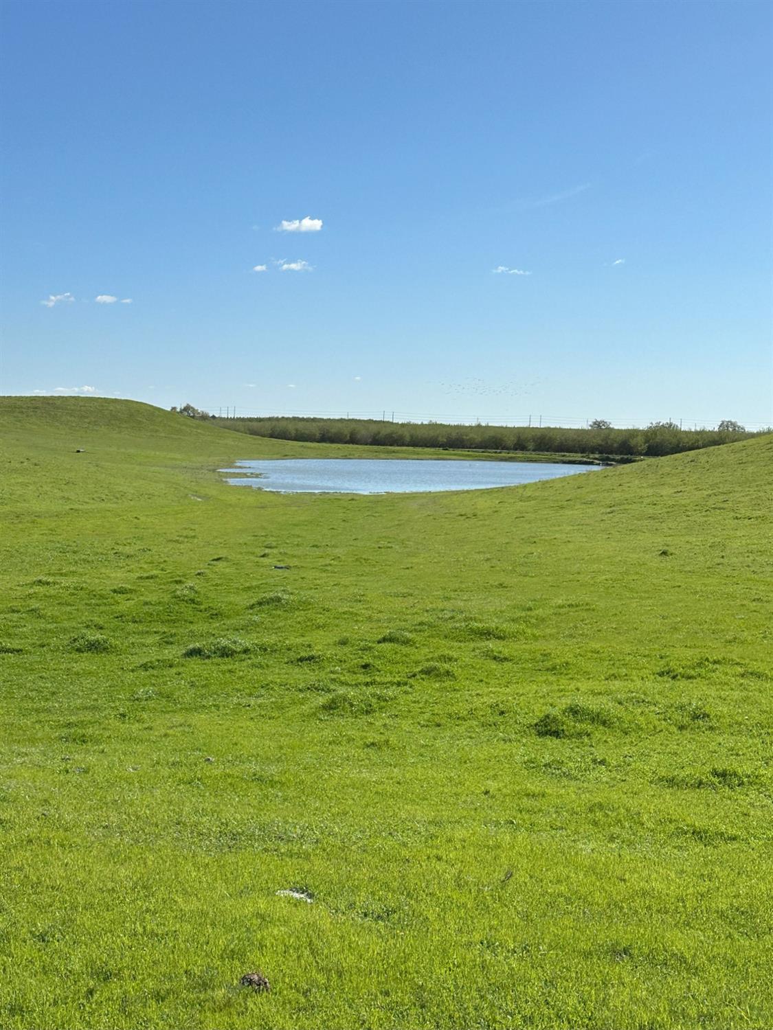 1100 Crabtree Road Waterford, CA 95386 - Photo 17 of 73 a view of an ocean and beach