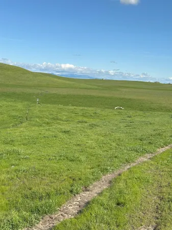 $3,650,000 | 1100 Crabtree Road, Waterford, CA 95386