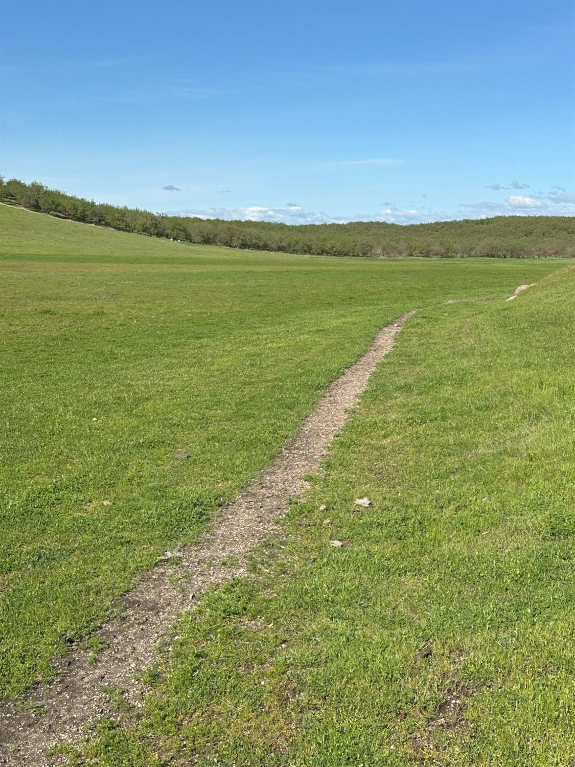 1100 Crabtree Road Waterford, CA 95386 - Photo 19 of 73 a view of an ocean and beach
