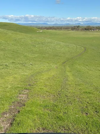 $3,650,000 | 1100 Crabtree Road, Waterford, CA 95386