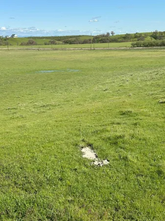 $3,650,000 | 1100 Crabtree Road, Waterford, CA 95386