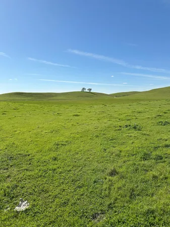 $3,650,000 | 1100 Crabtree Road, Waterford, CA 95386