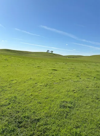 $3,650,000 | 1100 Crabtree Road, Waterford, CA 95386