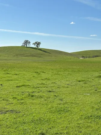 $3,650,000 | 1100 Crabtree Road, Waterford, CA 95386
