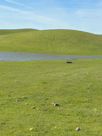 $3,650,000 | 1100 Crabtree Road, Waterford, CA 95386