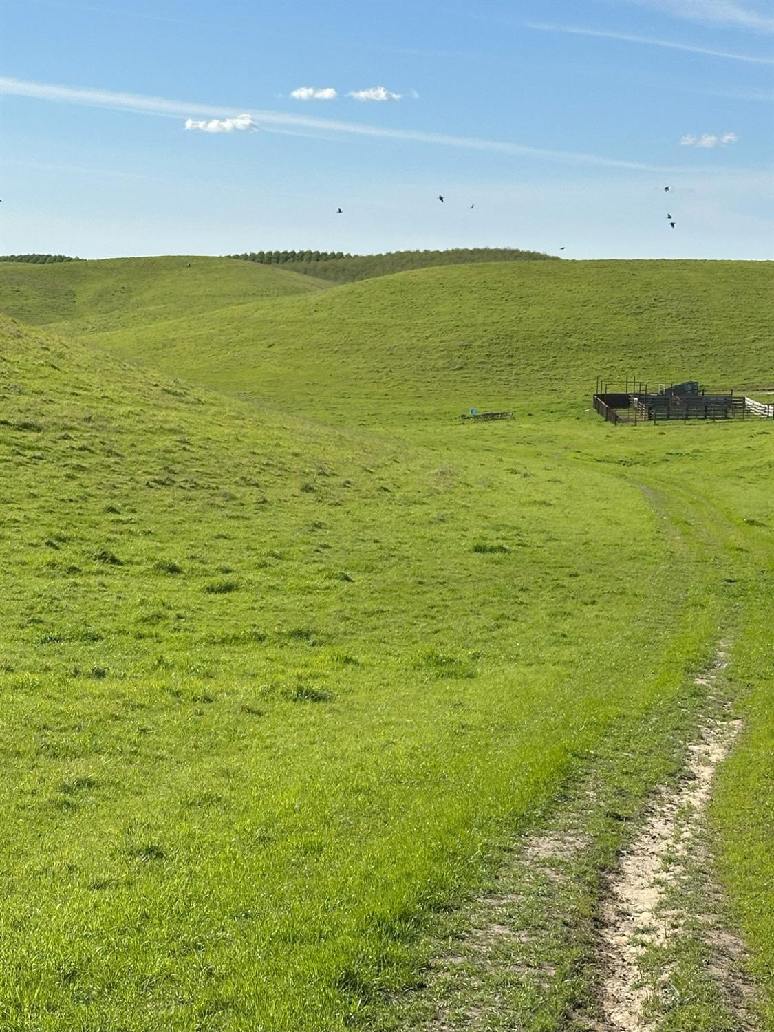 1100 Crabtree Road Waterford, CA 95386 - Photo 30 of 73