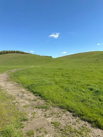 $3,650,000 | 1100 Crabtree Road, Waterford, CA 95386