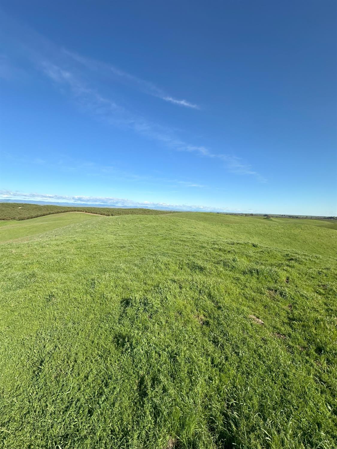 1100 Crabtree Road Waterford, CA 95386 - Photo 33 of 73