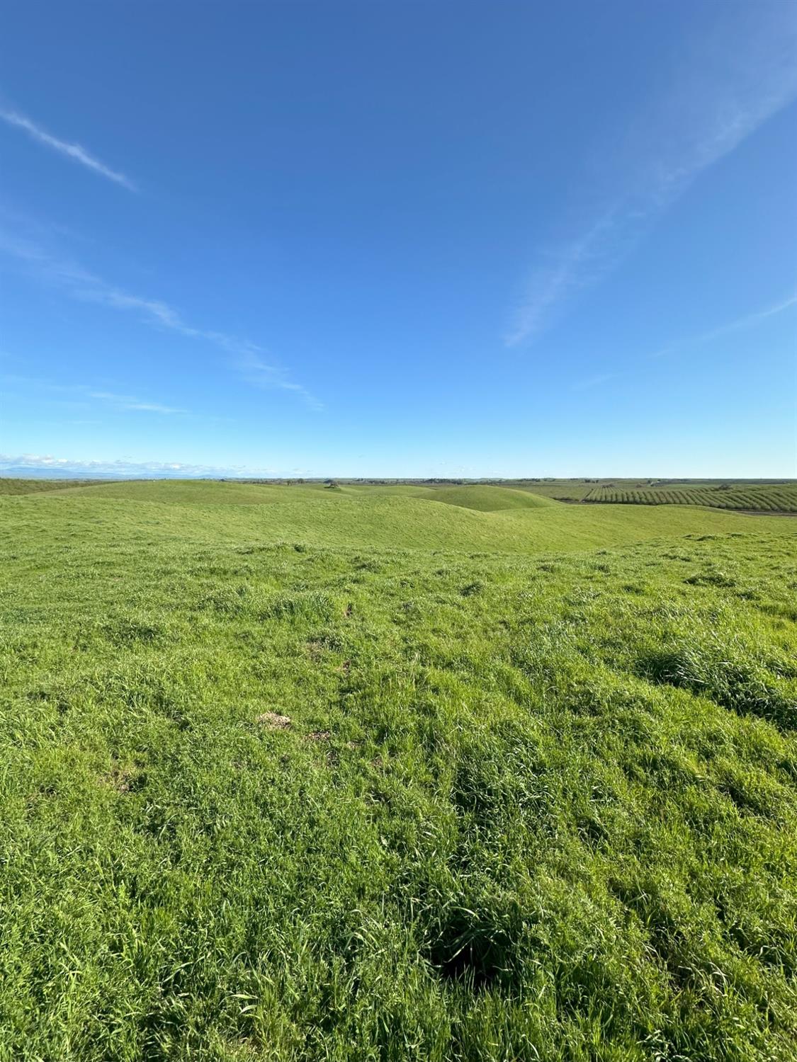 1100 Crabtree Road Waterford, CA 95386 - Photo 34 of 73 a view of an ocean