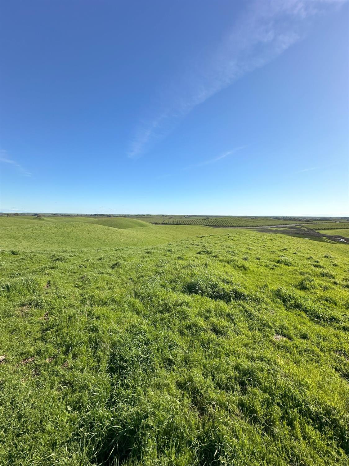 1100 Crabtree Road Waterford, CA 95386 - Photo 35 of 73 a view of an ocean