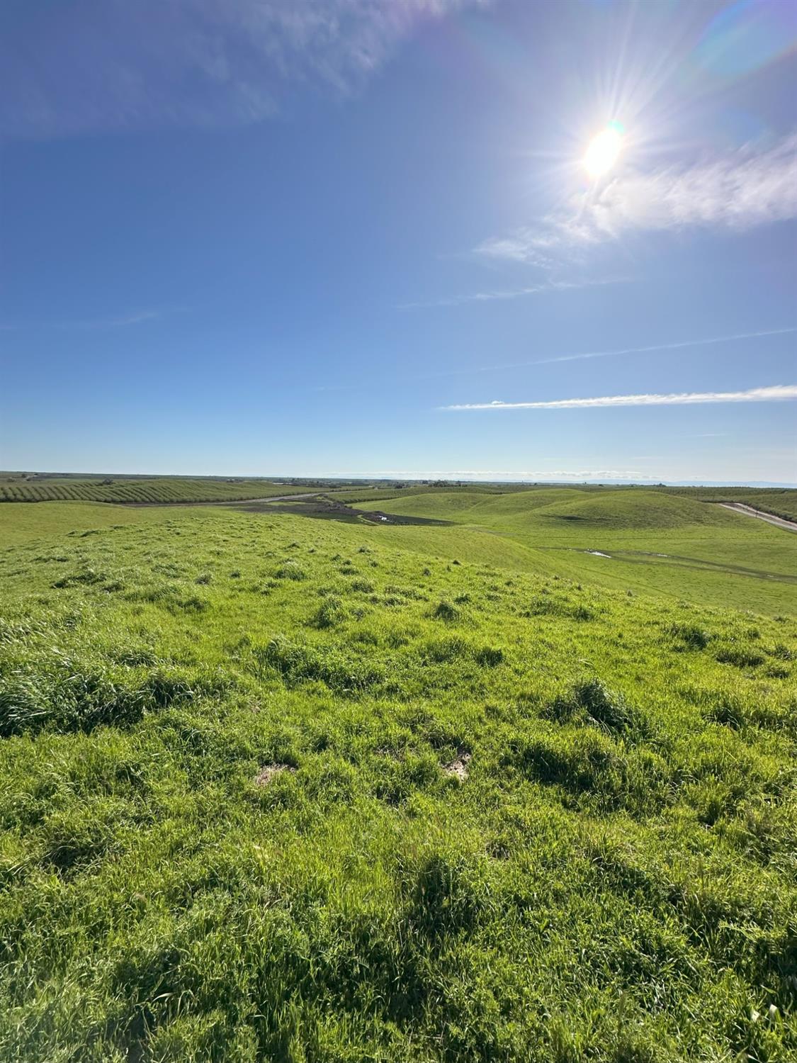 1100 Crabtree Road Waterford, CA 95386 - Photo 38 of 73