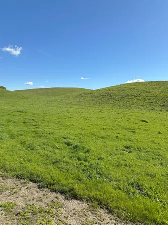 $3,650,000 | 1100 Crabtree Road, Waterford, CA 95386