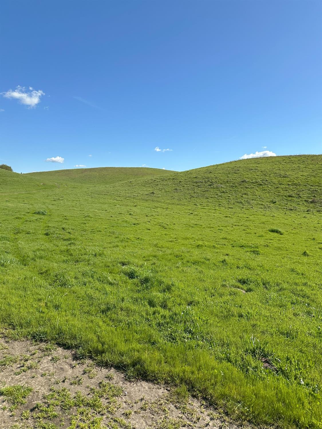 1100 Crabtree Road Waterford, CA 95386 - Photo 4 of 73