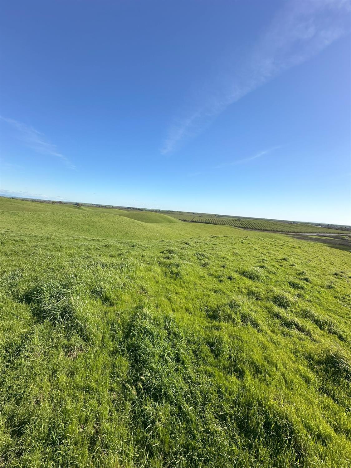 1100 Crabtree Road Waterford, CA 95386 - Photo 42 of 73 a view of an ocean