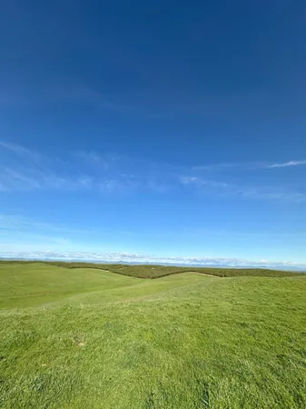 $3,650,000 | 1100 Crabtree Road, Waterford, CA 95386