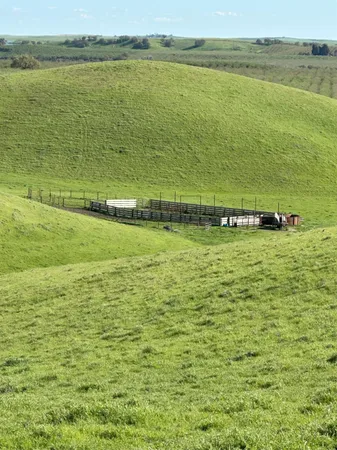 $3,650,000 | 1100 Crabtree Road, Waterford, CA 95386