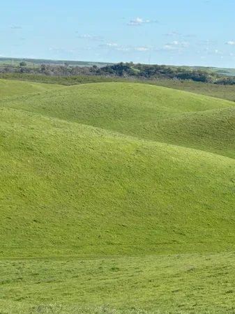 $3,650,000 | 1100 Crabtree Road, Waterford, CA 95386