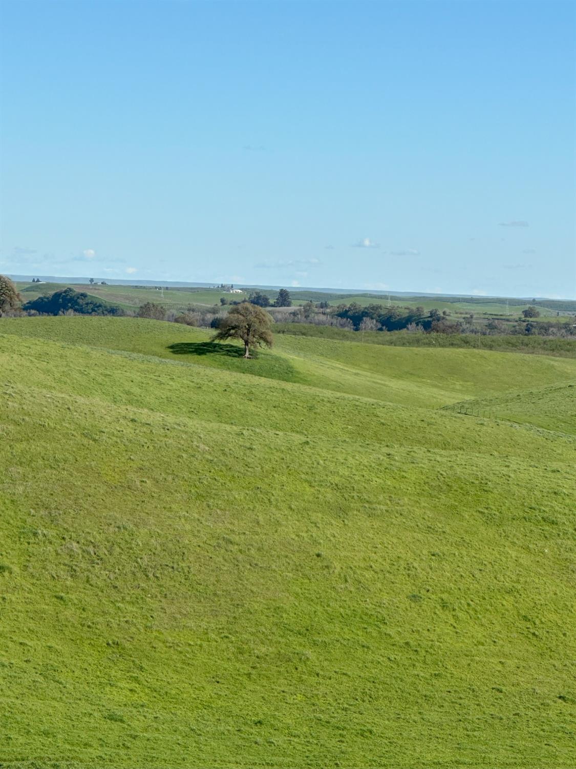 1100 Crabtree Road Waterford, CA 95386 - Photo 49 of 73