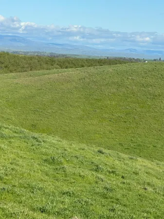 $3,650,000 | 1100 Crabtree Road, Waterford, CA 95386